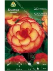 Бегония пикоти Желто-красная (Begonia picotee)