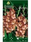 Гладиолус Баккако (Gladiolus Buccaco)