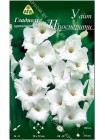 Гладиолус Уайт Просперити (Gladiolus White Prosperity)