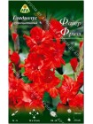 Гладиолус Файер Фризл (Gladiolus Fire Frizzles)