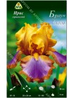 Ирис германский Браун Лассо (Iris germanica Brown Lasso)
