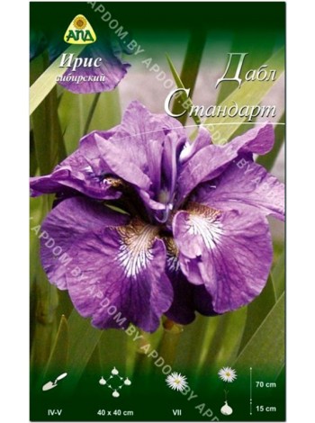 Ирис сибирский Дабл Стандарт (Iris sibirica Double Standard)