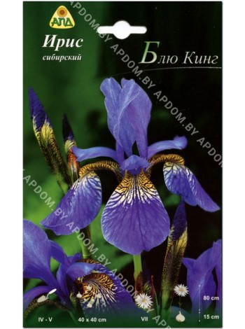 Ирис сибирский Блю Кинг (Iris sibirica Blue King)