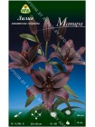 Лилия Мапира (Lilium asiatic Mapira)