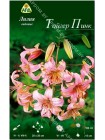 Лилия Тайгер Пинк (Lilium orienpet Tiger Pink)