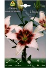 Лилия Уайт Пиксель (Lilium asiatic White Pixels)