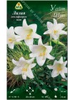 Лилия Уайт Шин (Lilium longiflorum pot White Sheen)