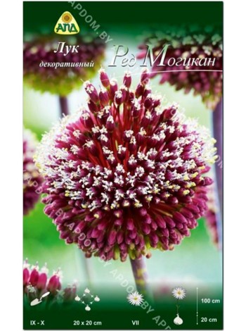 Лук декоративный Ред Могикан (Allium amethystinus Red Mohican)
