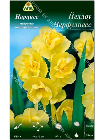 Нарцисс Йеллоу Черфулнесс (Narcissus Yellow Cheerfulness)