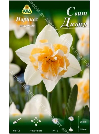 Нарцисс Свит Дизаер (Narcissus Sweet Desire)