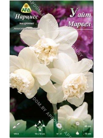 Нарцисс Уайт Марвел (Narcissus White Marvel)