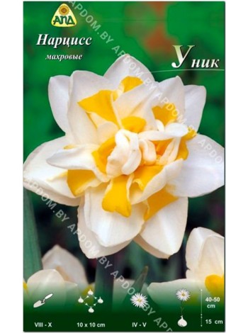 Нарцисс Уник (Narcissus Unique)