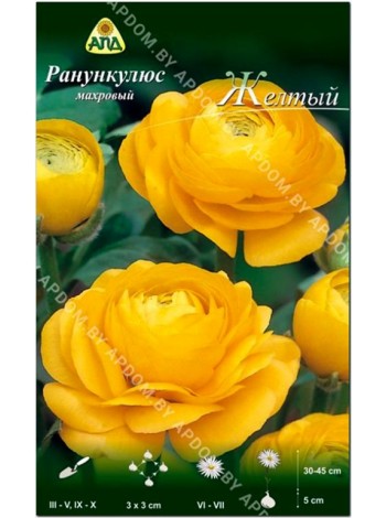 Ранункулюс махровый Желтый (Ranunculus asiatic )