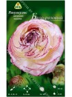 Ранункулюс махровый пикоти Бело-розовый (Ranunculus asiatic picotee)