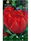 Тюльпан Абба (Tulipa Abba)