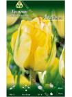 Тюльпан Акебоно (Tulipa Akebono)