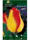 Тюльпан Американ Дрим (Tulipa American Dream)