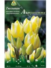 Тюльпан Антуанетта (Tulipa Antoinette)