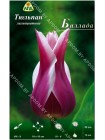 Тюльпан Баллада (Tulipa Ballade)
