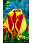 Тюльпан Банья Лука (Tulipa Banja Luca)