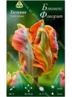 Тюльпан Блюмекс Фаворит (Tulipa Blumex Favourite)