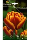 Тюльпан Вест Фризия (Tulipa West Frisia)