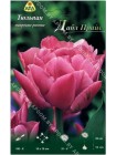 Тюльпан Дабл Прайс (Tulipa Double Price)
