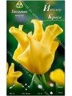 Тюльпан Йеллоу Кроун (Tulipa Yellow Crown)