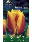 Тюльпан Йокос Дрим (Tulipa Yoko's Dream)