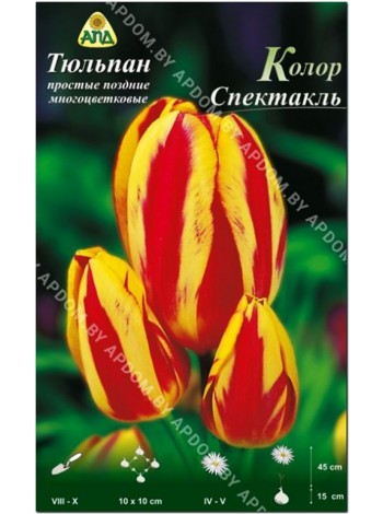 Тюльпан Колор Спектакль (Tulipa Colour Spectacle)