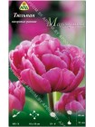 Тюльпан Маргарита (Tulipa Margarita)