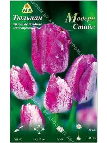 Тюльпан Модерн Стайл (Tulipa Modern Style)