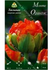Тюльпан Монте Орандж (Tulipa Monte Orange)