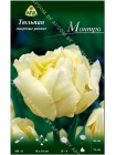 Тюльпан Монтро (Tulipa Montreux)