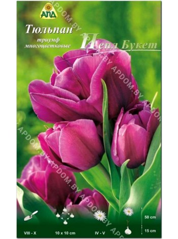 Тюльпан Пепл Букет (Tulipa Purple Bouquet)