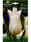 Тюльпан Уайт Элеганс (Tulipa White Eleganse)