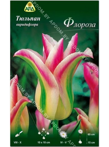 Тюльпан Флороза (Tulipa Florosa)