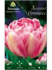 Тюльпан Холанд Принцесс (Tulipa Holland Princess)