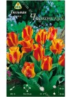 Тюльпан Чайковский (Tulipa Tschaikovsky)