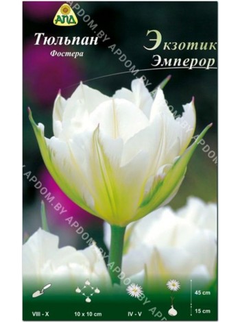 Тюльпан Экзотик Эмперор (Tulipa Exotic Emperor)