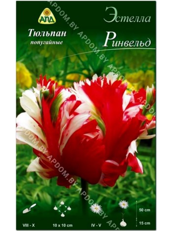 Тюльпан Эстелла Ринвельд (Tulipa Estella Rijnveld)
