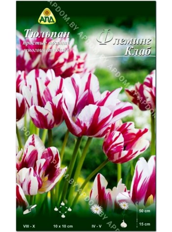 Тюльпан Флеминг Клаб (Tulipa Flaming Club)