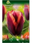 Тюльпан Слава (Tulipa Slawa)