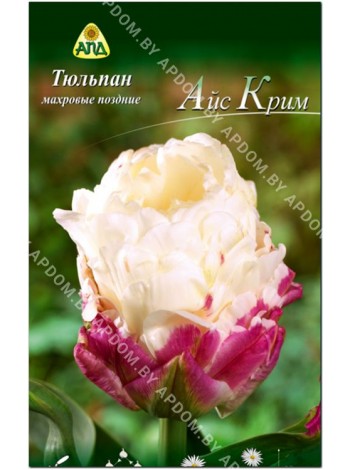Тюльпан Айс Крим (Tulipa Ice Cream)