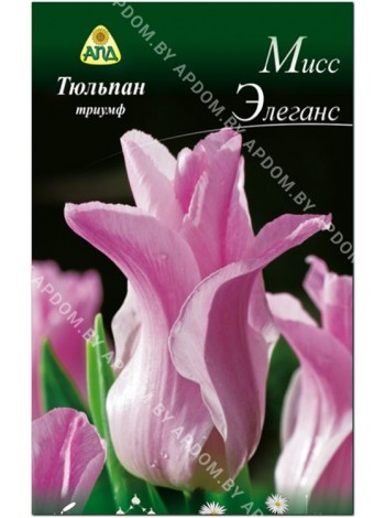 Тюльпан Мисс Элеганс (Tulipa Miss Elegance)