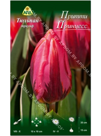 Тюльпан Притти Принцесс (Tulipa Pretty Princess)