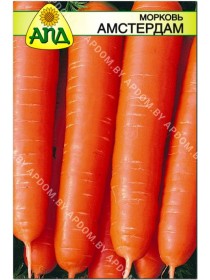 Морковь Амстердам