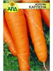 Морковь Карлена (Daucus carota L.)