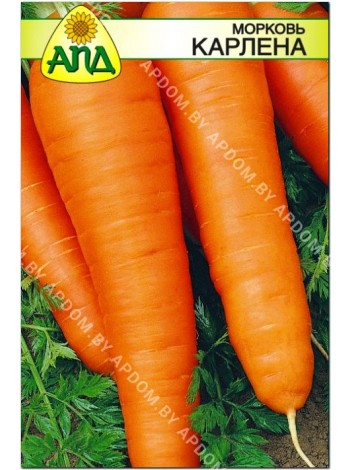 Морковь Карлена (Daucus carota L.)