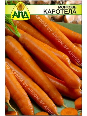 Морковь Каротела (Daucus carota L.)